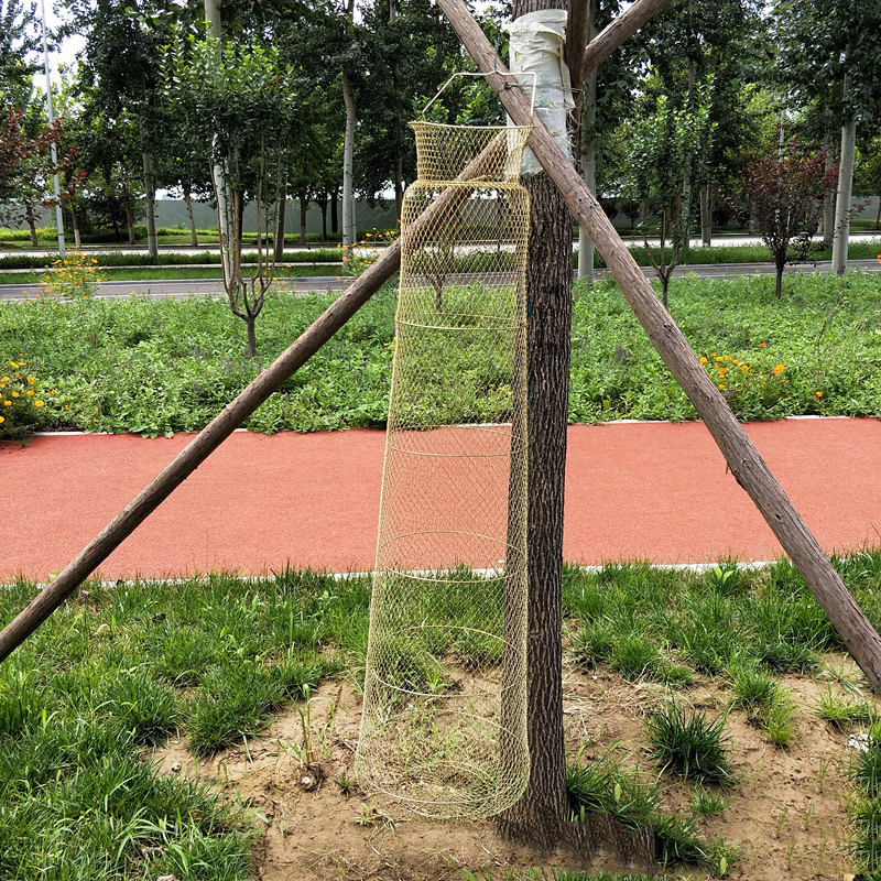Upgrade long 50-foot diameter